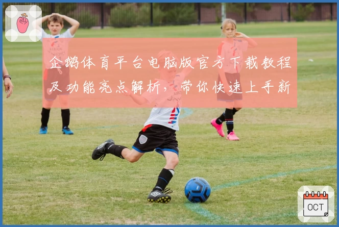 企鹅体育平台电脑版官方下载教程及功能亮点解析，带你快速上手新版本体验