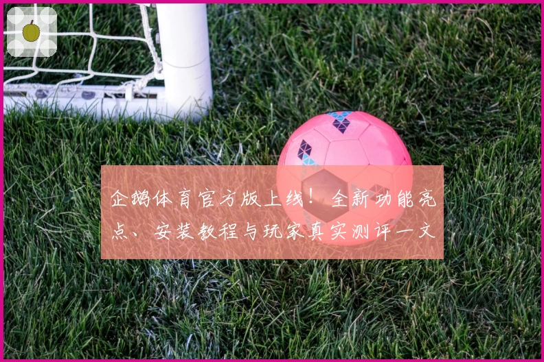 企鹅体育官方版上线！全新功能亮点、安装教程与玩家真实测评一文打尽