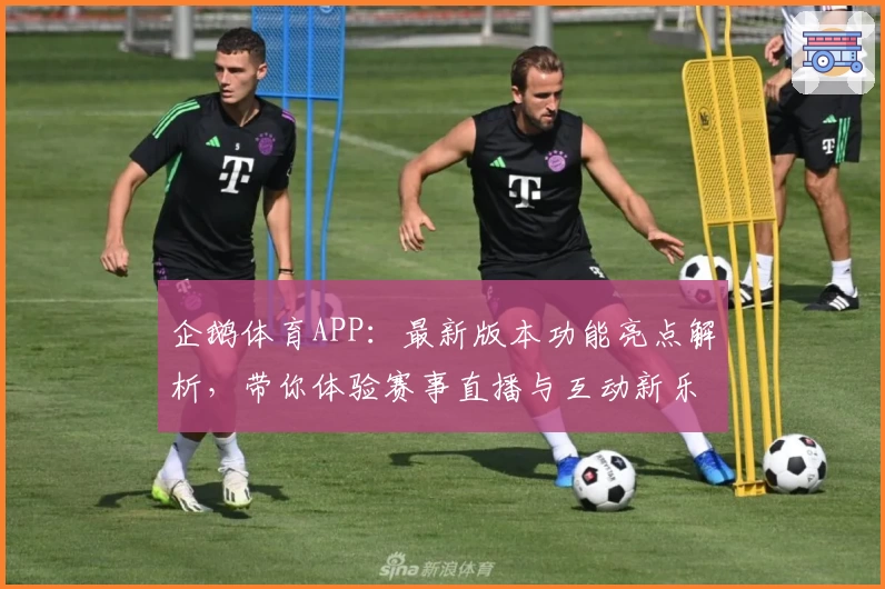 企鹅体育APP：最新版本功能亮点解析，带你体验赛事直播与互动新乐趣