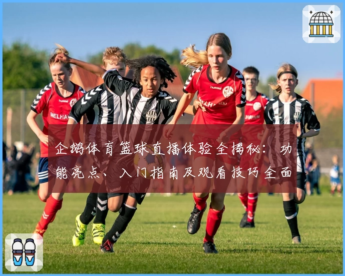 企鹅体育篮球直播体验全揭秘：功能亮点、入门指南及观看技巧全面解析