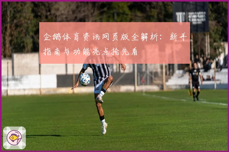 企鹅体育资讯网页版全解析：新手指南与功能亮点抢先看
