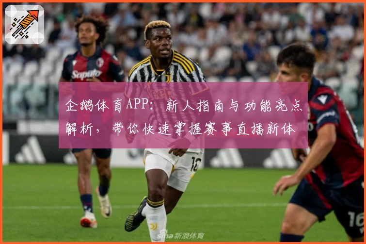 企鹅体育APP：新人指南与功能亮点解析，带你快速掌握赛事直播新体验