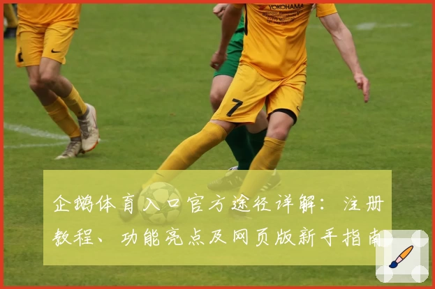 企鹅体育入口官方途径详解：注册教程、功能亮点及网页版新手指南